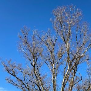 Meet your Posher, Russell